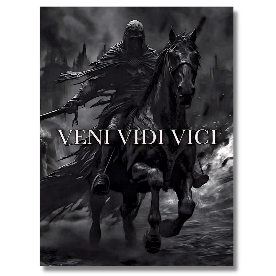 Veni Vidi Vici Art