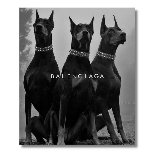 Balenciaga Dobermans