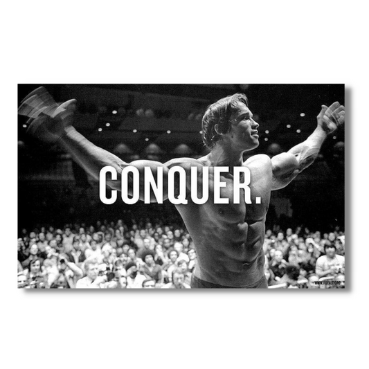 Conquer Arnold