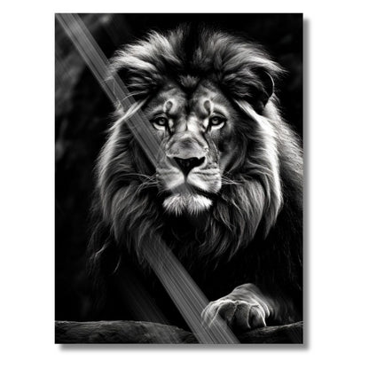 Lion Portrait