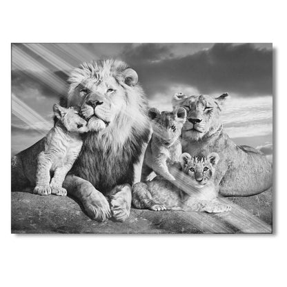 Lion Family B&W