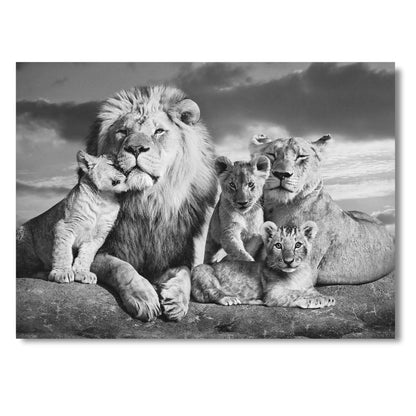 Lion Family B&W