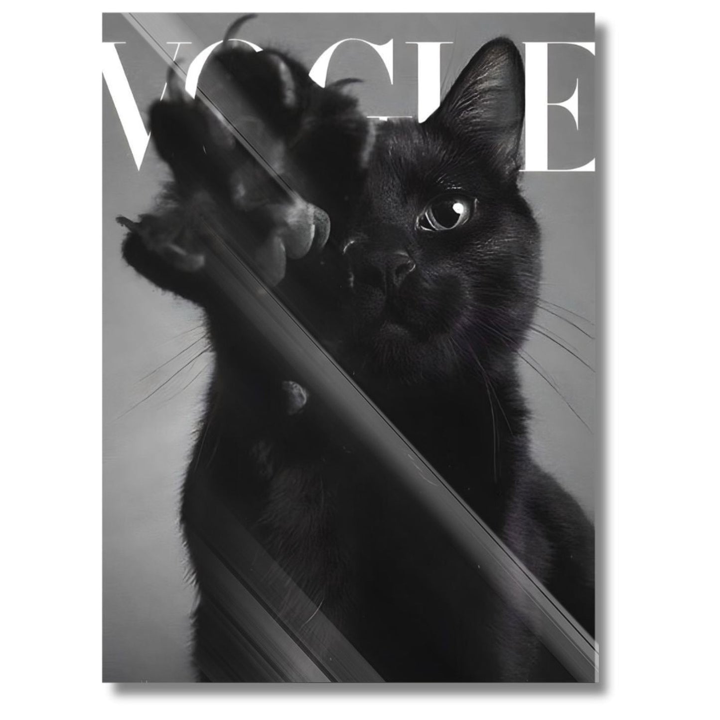 Cat Vogue