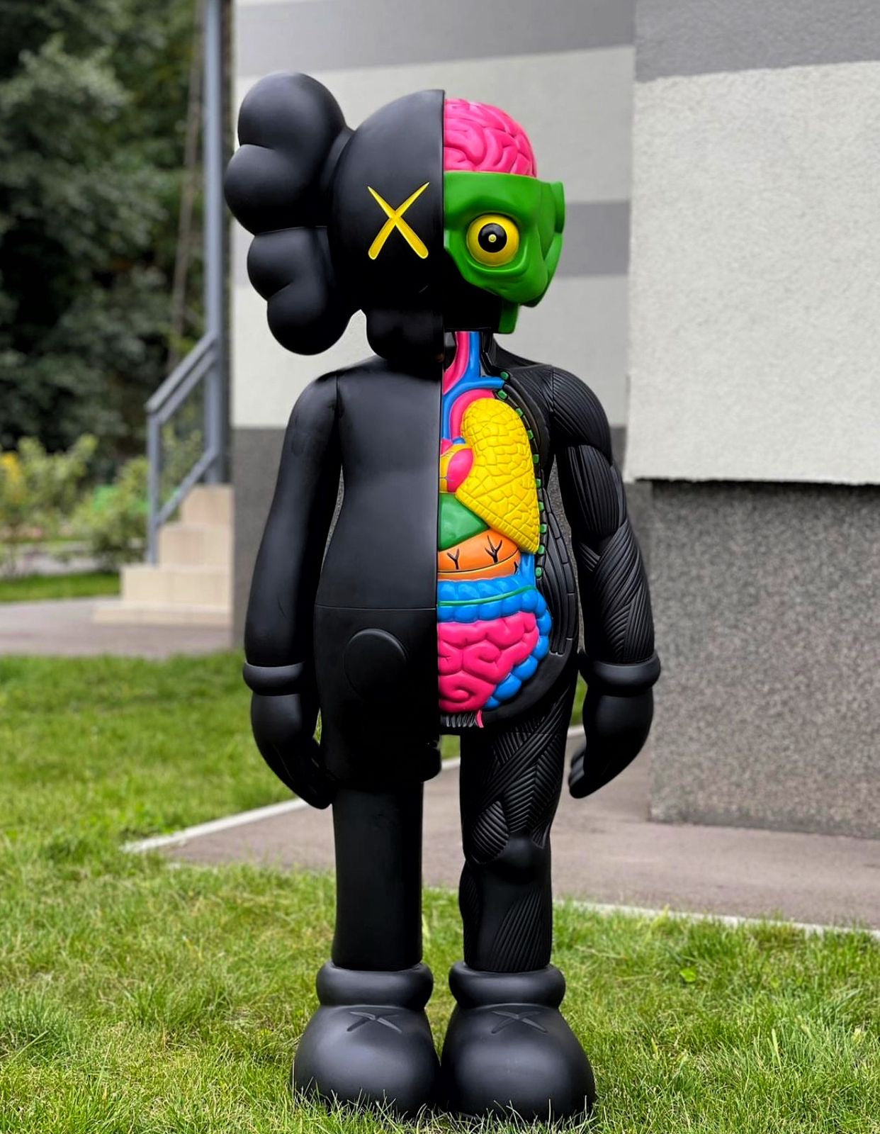 Kaws Anatomy Black