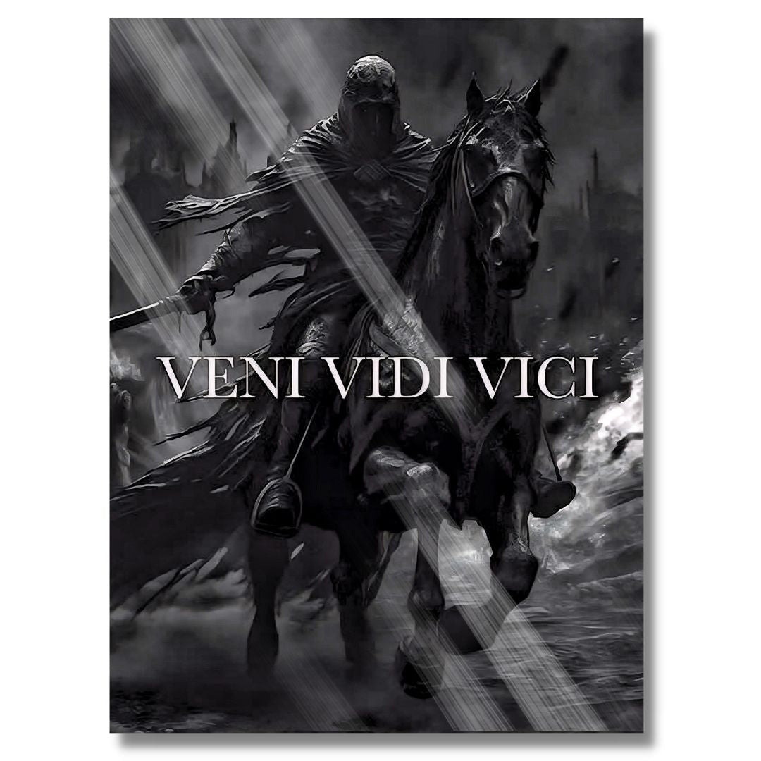 Veni Vidi Vici Art