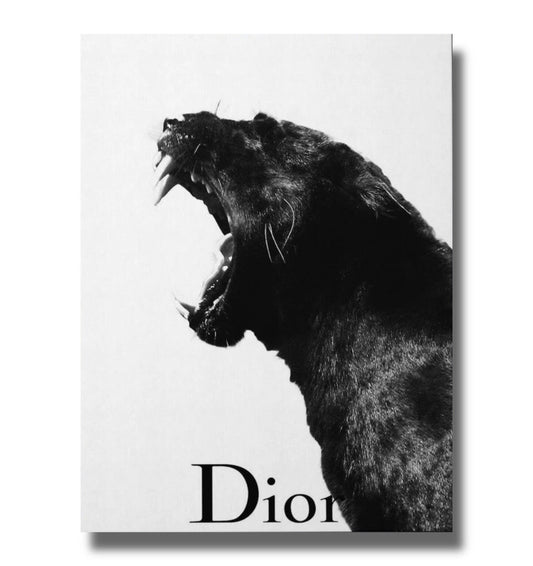 Dior Black Panther