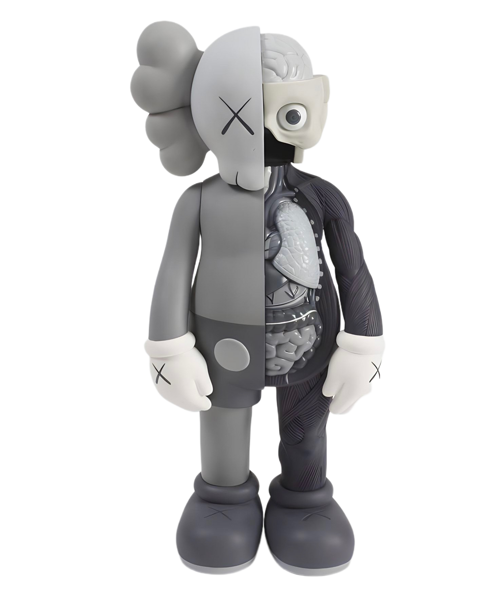 KAWS Anatomy Grey – mr-art