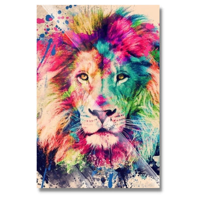 Lion Colorfull