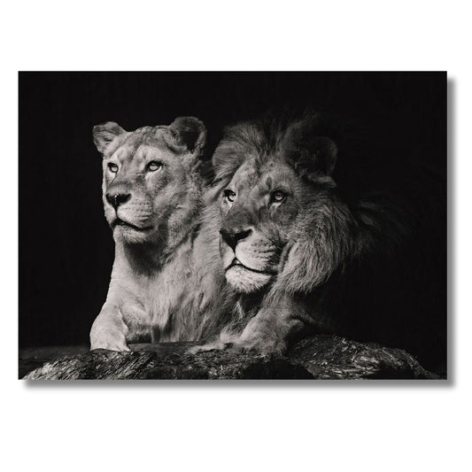 Lion Couple