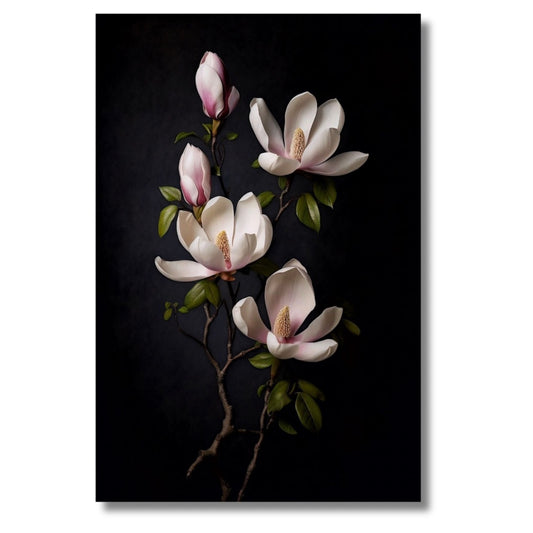 Magnolias